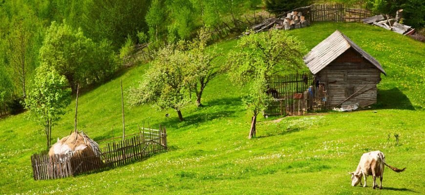 Эко проекты