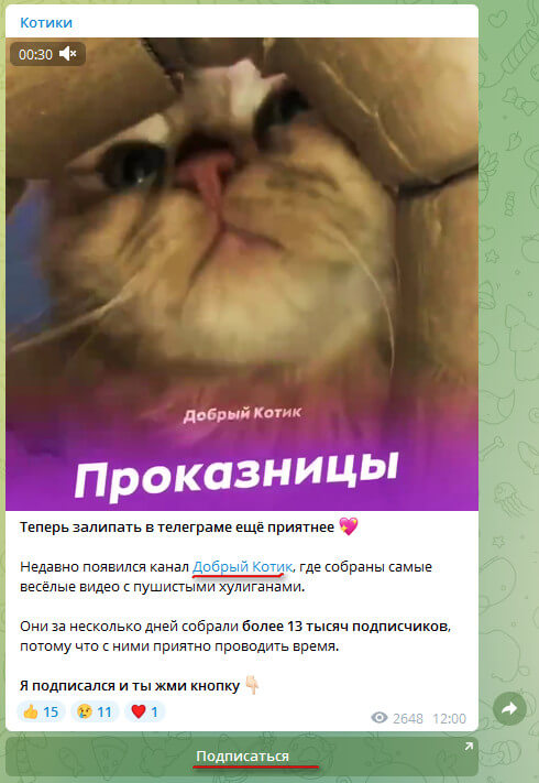 Пример рекламы на канале в Телеграме