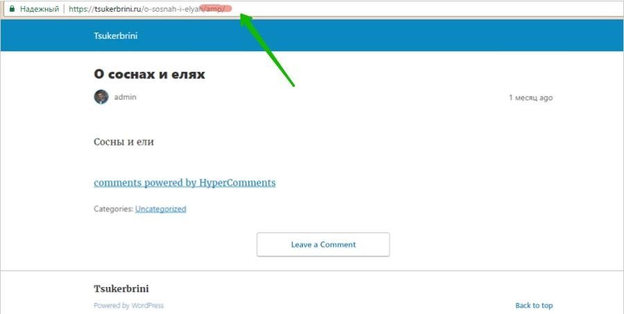 Wordpress плагин для AMP